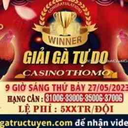 đá gà thomo 27 5 trận 47
