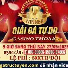 đá gà thomo 27 tháng 5