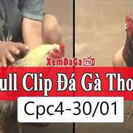 đá gà thomo 30 3 c3
