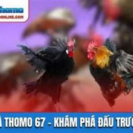 da ga thomo 67 ae