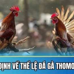 da ga thomo 9 5 2023