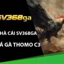 đá gà thomo c3 gà sinh đôi