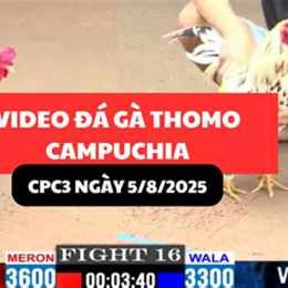 da ga thomo cpc3 hom nay