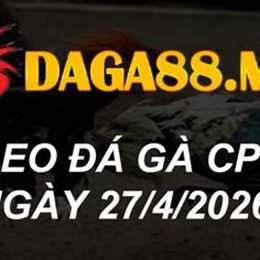 đá gà thomo ngày 27 tháng 04 năm 2025