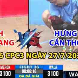 đá gà thomo trận 36 hôm nay