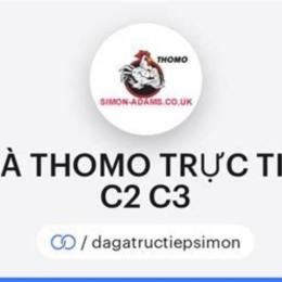 đá gà thomo trực tiếp c1 c2