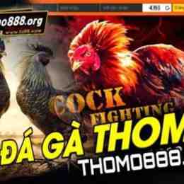 da ga thomo truc tiep https:7789bet.top