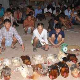 đá gà thua đánh số mấy