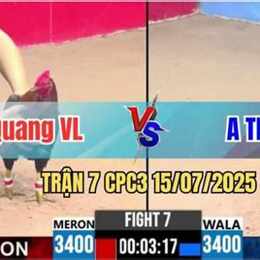 đá gà trận 15 c3
