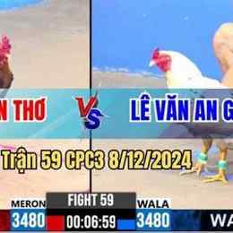 đá gà trận 59 hôm nay