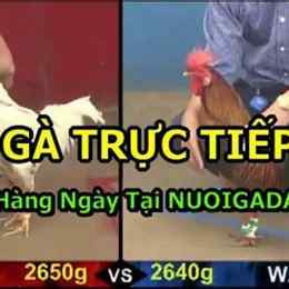 da ga truc tiep 31 10
