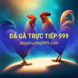 đá gà trực tiếp 999 hom qua