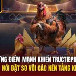 đá gà trực tiếp c3 trận gà sinh đôi