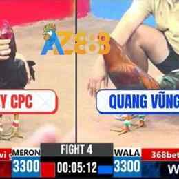 đá gà trực tiếp cpc3 trận 54