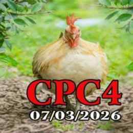 đá gà trực tiếp cpc4 ngày hôm nay