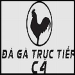 đá gà trực tiếp homo c4