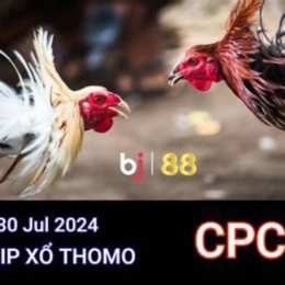 đá gà trực tiếp ngày 30 tháng 10