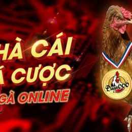 đá gà trực tiếp ngày 6 tháng 1