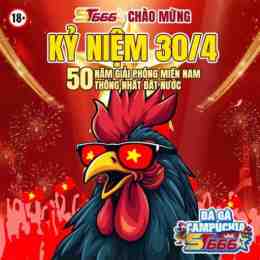 đá gà trực tiếp thành phố hồ chí minh