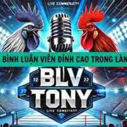 đá gà trực tiếp thomo binh luan vien