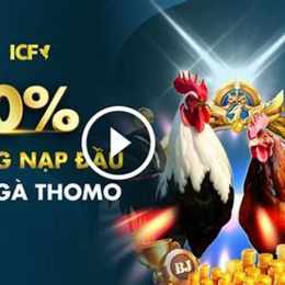 đá gà trực tiếp thomo c3 c4 c5
