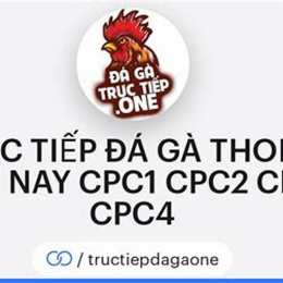 đá gà trực tiếp thomo cpc1 cpc2 cpc3 hôm nay