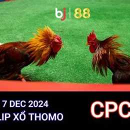 đá gà trực tiếp thomo ngày 7 tháng 10