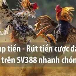 đá gà trực tiếp vs388