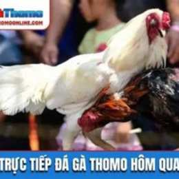 da ga truc tuyen thomo hom nay