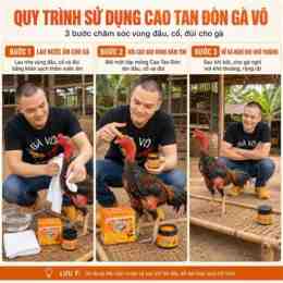 da ga vo van kiet