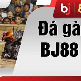đá gà vz99