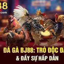 đá gà xổ lớn