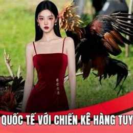 đá giải gà tre c1