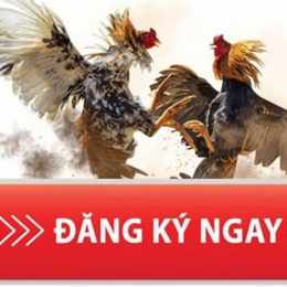 đăng ký đá gà online