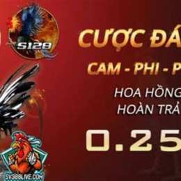 đăng ký đá gà trực tiếp campuchia