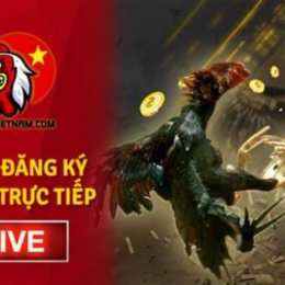 đăng ký đá gà trực tiếp