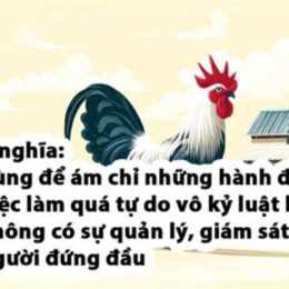 đặt câu với thành ngữ chó ăn đá gà ăn sỏi
