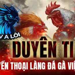 duyên ti đá gà