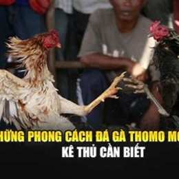 ga bao siting da thomo moi nhat