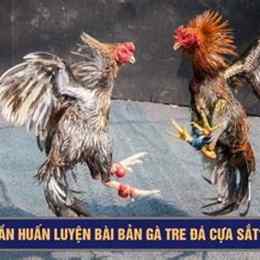 ga ben tre da cua sat