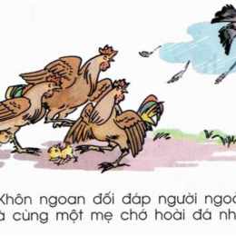gà cùng 1 mẹ chớ hoài đá nhau lyrics
