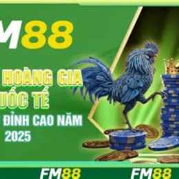 gà đá giải 27 5