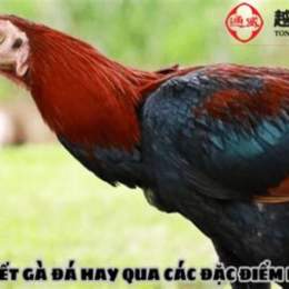 ga da long