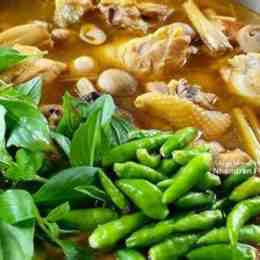 gà đá quảng ngãi