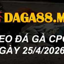 gà đá thomo ngày 25 tháng 5