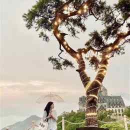 gà đồi tam đảo nướng