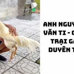 ga duyen ty da hom nay