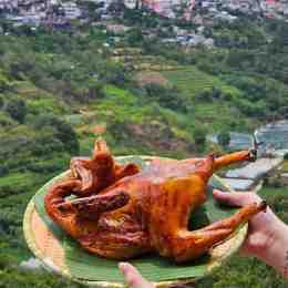 gà lưng chừng đồi đà lạt