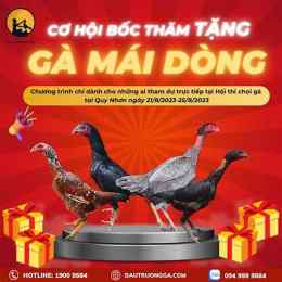 ga mai bon da cua nghiet