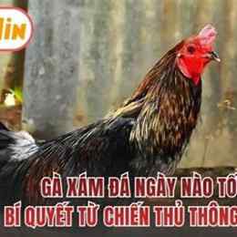 ga xam da ngay nao tot